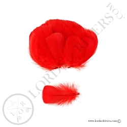 Coquille D'Oie Colorées Hand Selected 100 Plumes - Lords Of Rivers