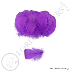 Coquille D'Oie Colorées Hand Selected 100 Plumes - Lords Of Rivers