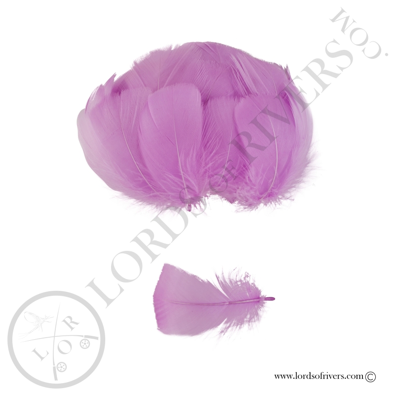 Goose Colored Body Feathers-100 Feathers  Hand Selected - Lords Of Rivers