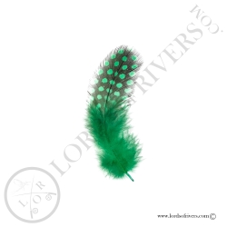 Colorful Guinea fowl - Body feathers By Weight - Lords Of Rivers