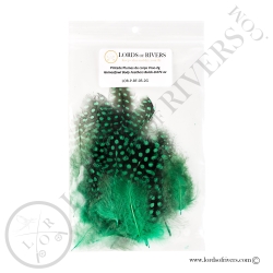 Pintade Colorées - Plumes de corps Au Poids - Lords of Rivers