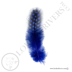 Colorful Guinea fowl - Body feathers By Weight - Lords Of Rivers