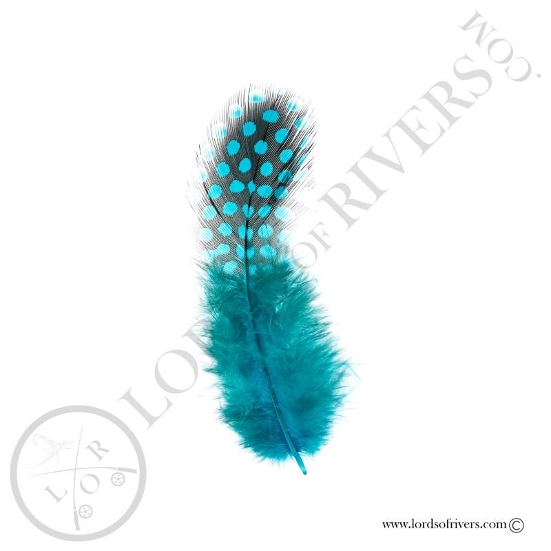 Colorful Guinea fowl - Body feathers By Weight - Lords Of Rivers