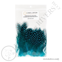 Colorful Guinea fowl - Body feathers By Weight - Lords Of Rivers