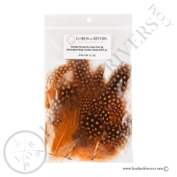 Pintade Colorées - Plumes de corps Au Poids - Lords of Rivers