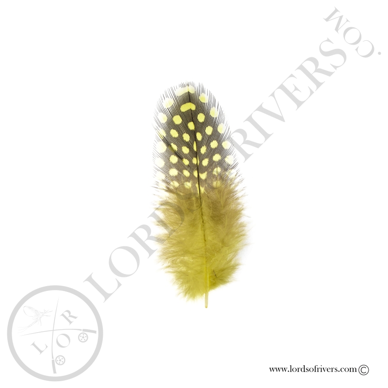 Pintade Colorées - Plumes de corps Au Poids - Lords of Rivers