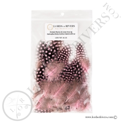 Pintade Colorées - Plumes de corps Au Poids - Lords of Rivers