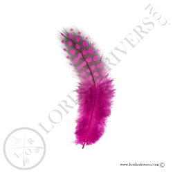 Pintade Colorées - Plumes de corps Au Poids - Lords of Rivers