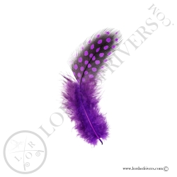 Pintade Colorées - Plumes de corps Au Poids - Lords of Rivers