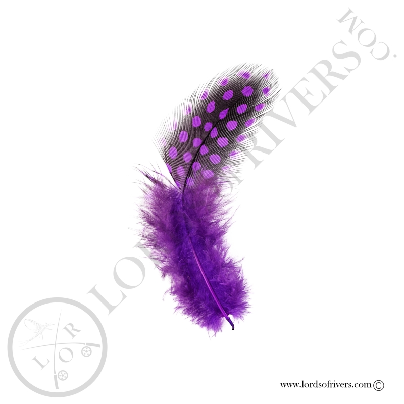 Colorful Guinea fowl - Body feathers By Weight - Lords Of Rivers
