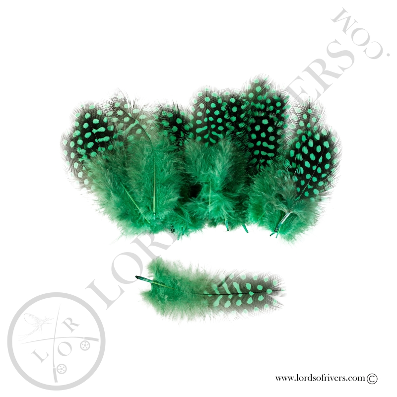 Pintade Colorées -20 Plumes de corps - Hand Selected - Lords of Rivers
