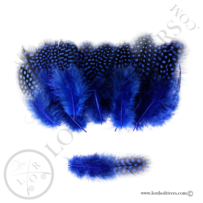 Pintade Colorées -20 Plumes de corps - Hand Selected - Lords of Rivers