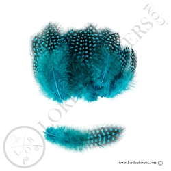 Colorful Guinea fowl -20 Body feathers - Hand Selected - Lords Of Rivers