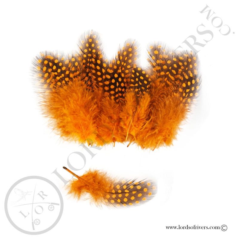 Pintade Colorées -20 Plumes de corps - Hand Selected - Lords of Rivers