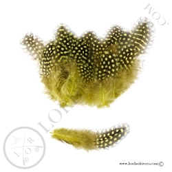 Colorful Guinea fowl -20 Body feathers - Hand Selected - Lords Of Rivers