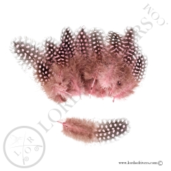 Pintade Colorées -20 Plumes de corps - Hand Selected - Lords of Rivers