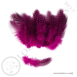 Pintade Colorées -20 Plumes de corps - Hand Selected - Lords of Rivers