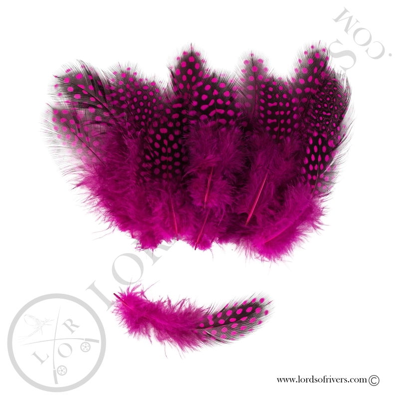 Pintade Colorées -20 Plumes de corps - Hand Selected - Lords of Rivers