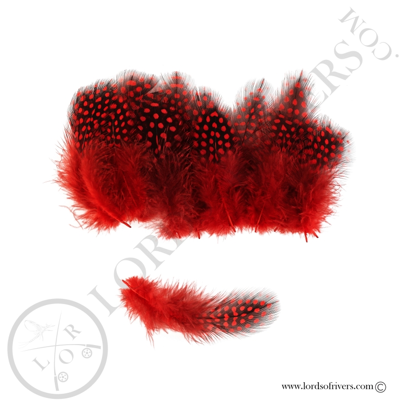 Colorful Guinea fowl -20 Body feathers - Hand Selected - Lords Of Rivers