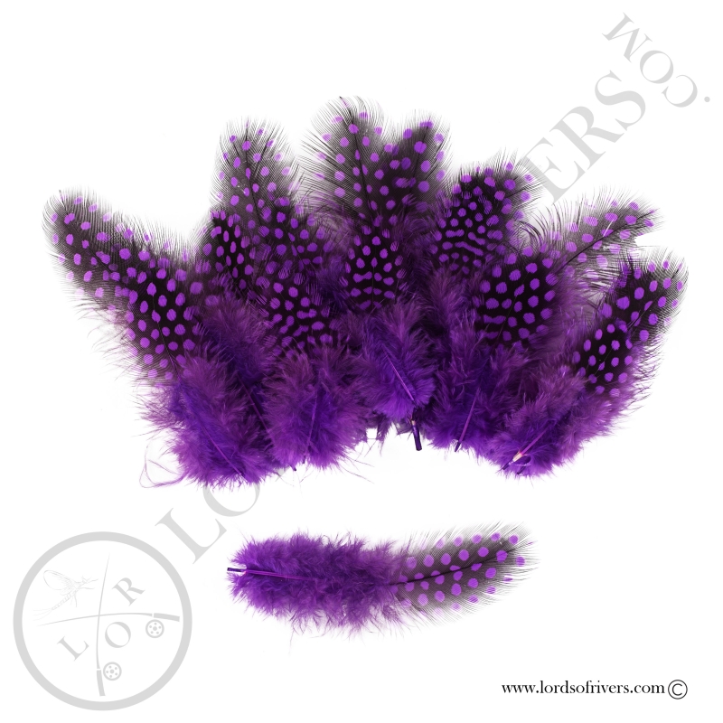 Pintade Colorées -20 Plumes de corps - Hand Selected - Lords of Rivers