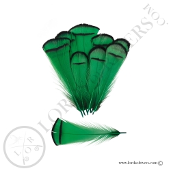 Faisan Lady Amherst Plumes de Collerette Teinte Lords of Rivers