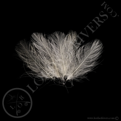 Swiss CDC Super Select 1gr