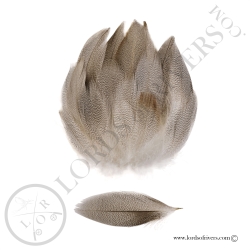 Plumes de Flanc de Canard Mallard Premium Lords of Rivers