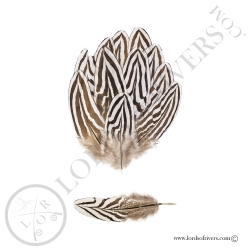 Silver Pheasant - Large Body Feathers - Lords of Rivers