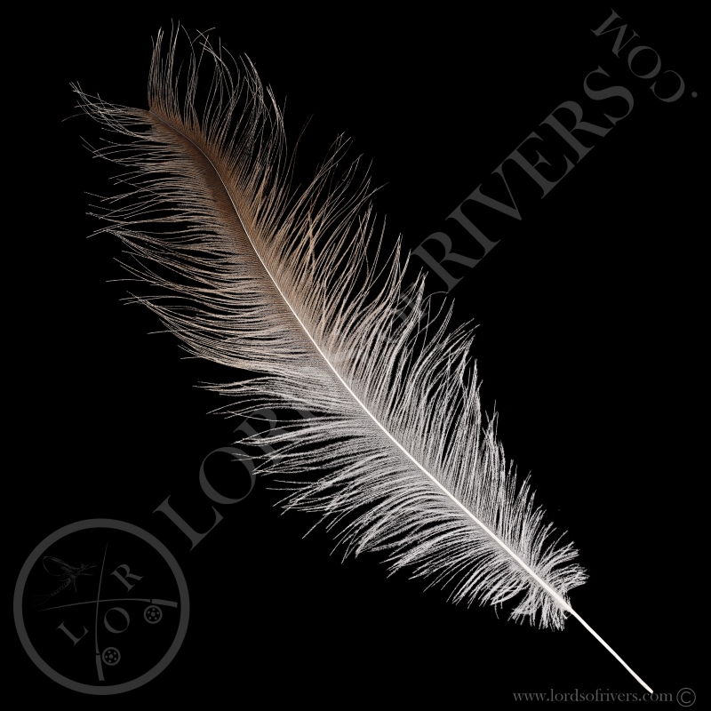 Nandou Plumes de Corps Lords Of Rivers