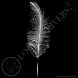 Nandou Blanc Plumes de Corps Lords Of Rivers