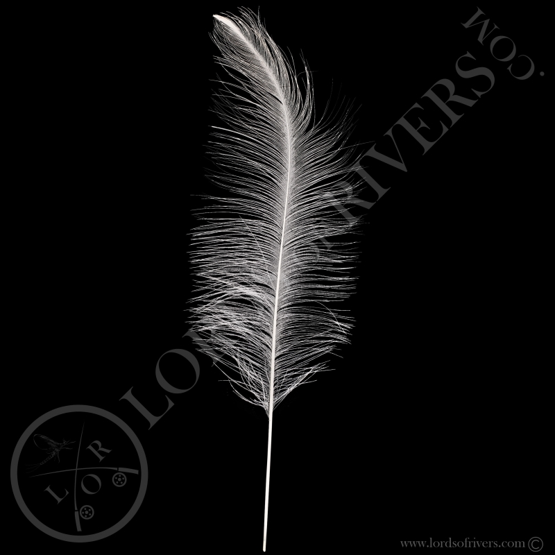 Nandou Blanc Plumes de Corps Lords Of Rivers