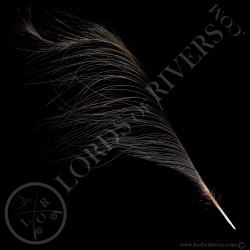 Hokki Bleu - Plume de Queue Centrale Type 1 - Lords Of Rivers