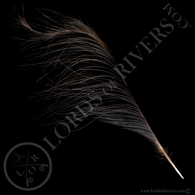 Hokki Bleu - Plume de Queue Centrale Type 1 - Lords Of Rivers