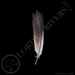 Blue Eared Pheasant - Side Tails Type 3 - Lords Of Rivers