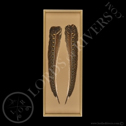 Framed Paired Argus Feathers - Lords Of Rivers