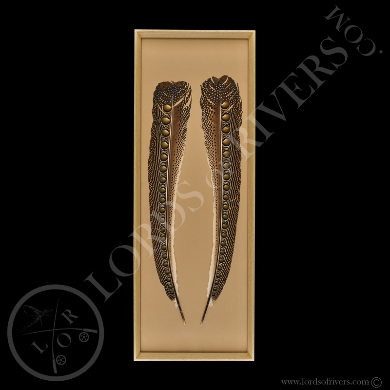 Cadre Paire de Plumes de Faisan Argus - Lords Of Rivers