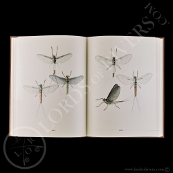 Livre Ephemeras - Charles Gaidy - Signé/édition limité - Lords Of Rivers