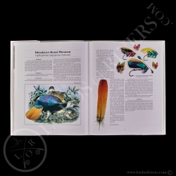 Book - Rare and Unusual Fly Tying Materials - Paul Schmookler & Ingrid V.Sils - Lords Of Rivers