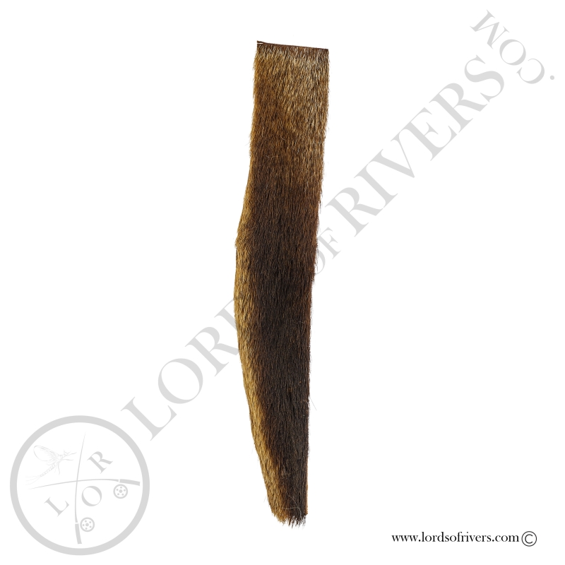 Kangaroo Half Tail Low Lords Of Rivers