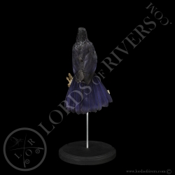 Arrenga siffleur-Taxidermie - Lords Of Rivers