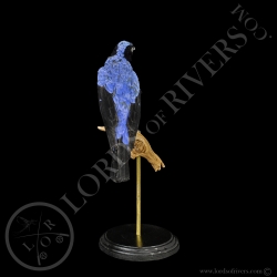 Irene Bleu-Fairy BlueBird full skin-Taxidermie