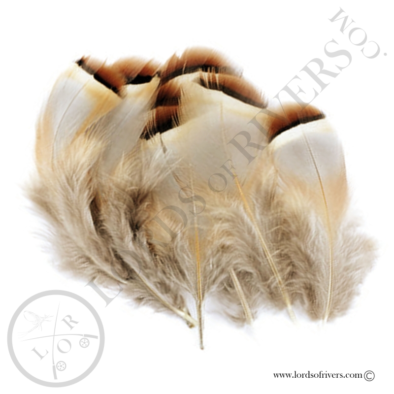 Red-legged Partridge - Flank feathers - Lords of Rivers