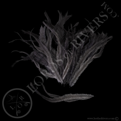 Emeu - Plumes de Corps Teintées - Lords Of Rivers