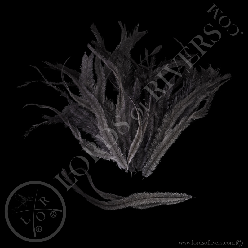 Emeu - Plumes de Corps Teintées - Lords Of Rivers