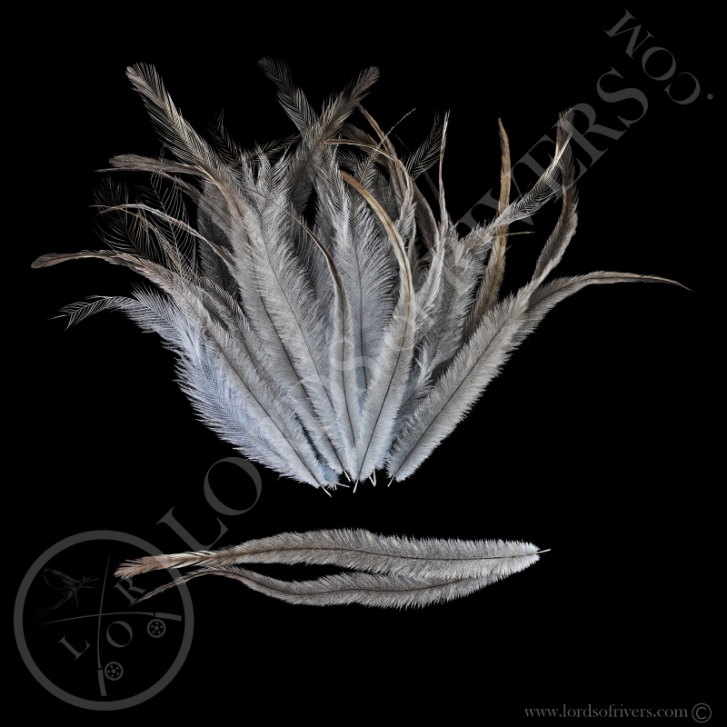 Emu -Dyed Body Feathers - Lords Of Rivers