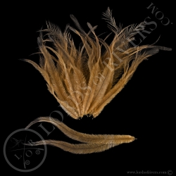 Emu -Dyed Body Feathers - Lords Of Rivers