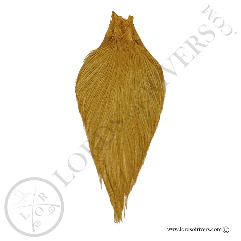 Keough Tyer's Grade Rooster Neck