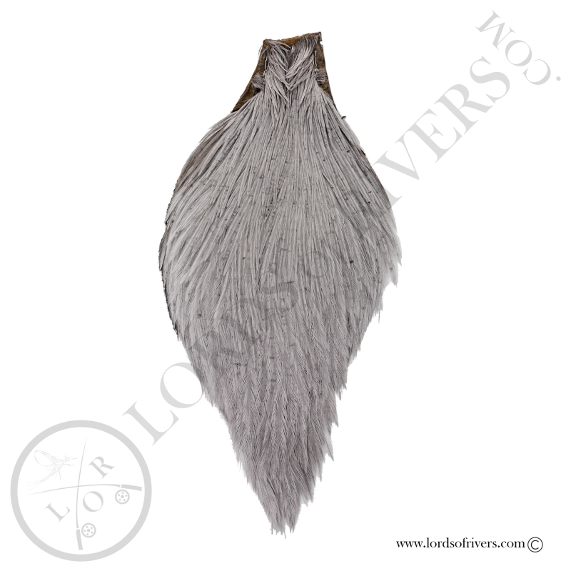 Keough Tyer's Grade Rooster Neck