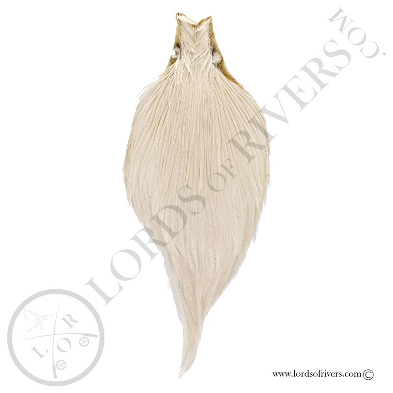 Keough Tyer's Grade Rooster Neck