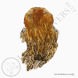 Indian Cock Cape Top Grade